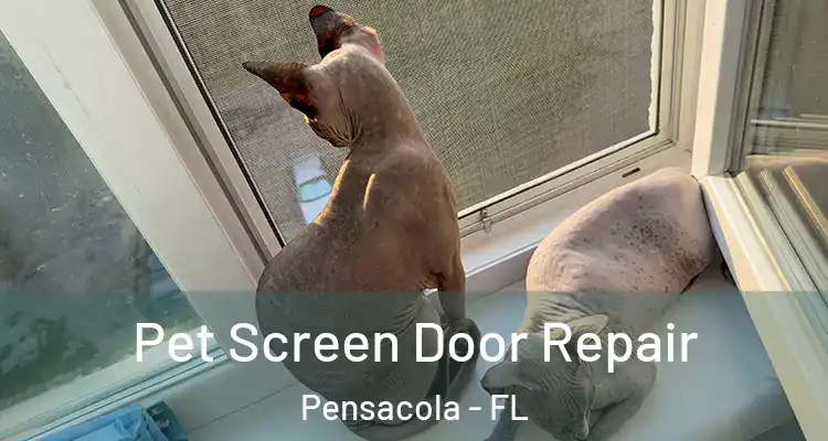 Pet Screen Door Repair Pensacola - FL