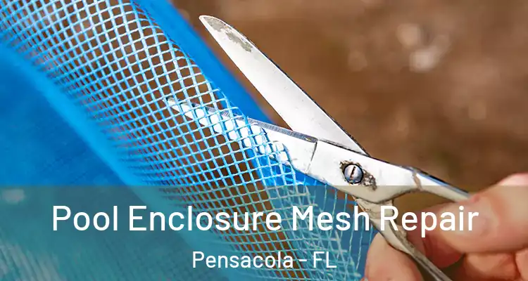 Pool Enclosure Mesh Repair Pensacola - FL